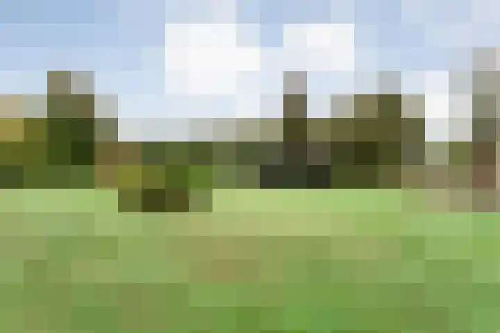 Nieuwe Burgerkampweg 9 Hardenberg thumbnail 62