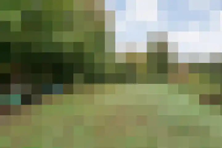 Nieuwe Burgerkampweg 9 Hardenberg thumbnail 63
