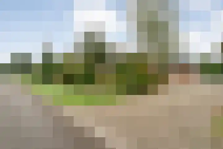 Nieuwe Burgerkampweg 9 Hardenberg thumbnail 64