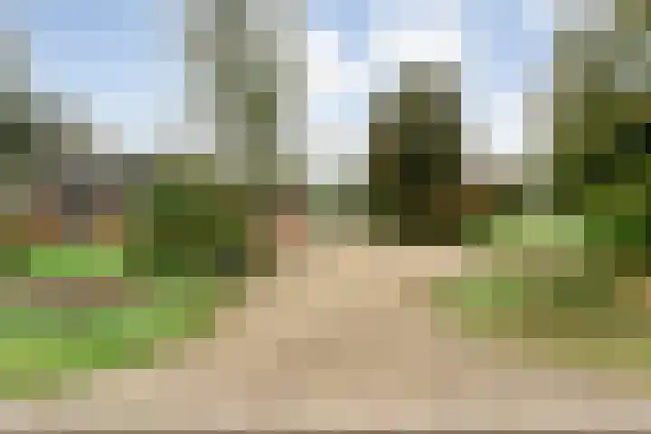 Nieuwe Burgerkampweg 9 Hardenberg thumbnail 65