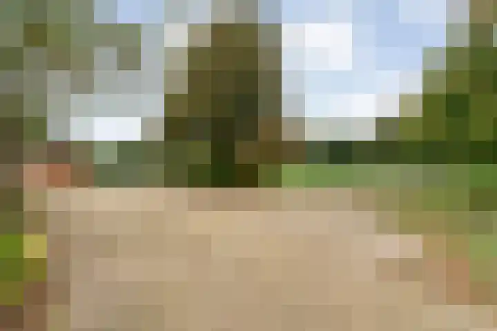 Nieuwe Burgerkampweg 9 Hardenberg thumbnail 66