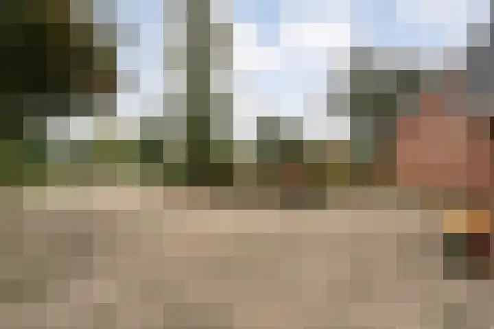 Nieuwe Burgerkampweg 9 Hardenberg thumbnail 67