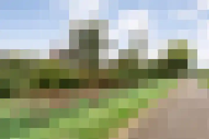 Nieuwe Burgerkampweg 9 Hardenberg thumbnail 68