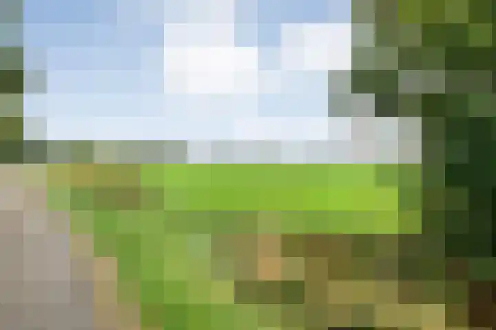 Nieuwe Burgerkampweg 9 Hardenberg thumbnail 69
