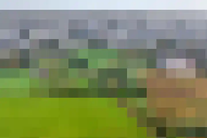 Nieuwe Burgerkampweg 9 Hardenberg thumbnail 7