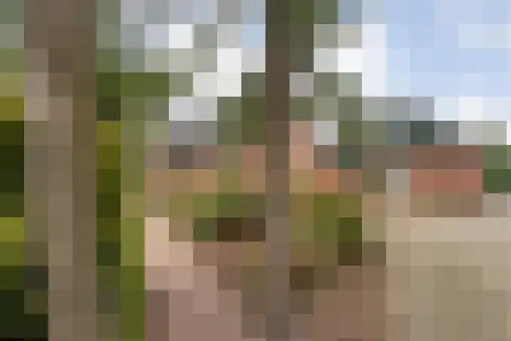 Nieuwe Burgerkampweg 9 Hardenberg thumbnail 8