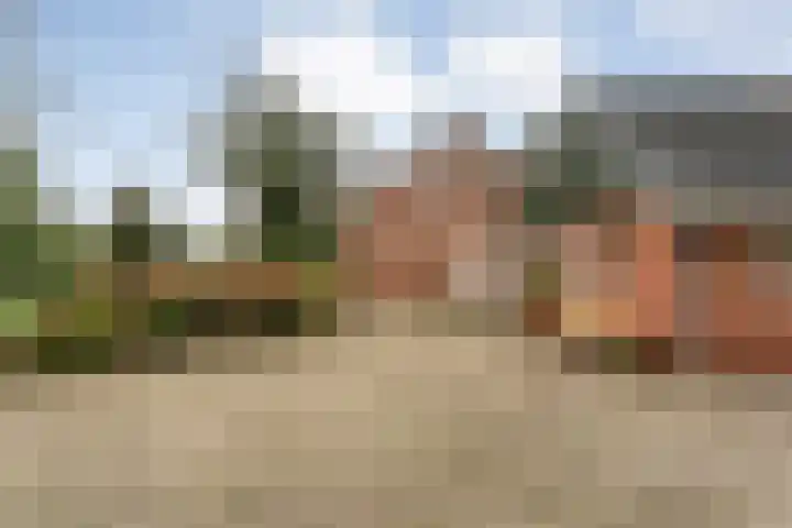 Nieuwe Burgerkampweg 9 Hardenberg thumbnail 9