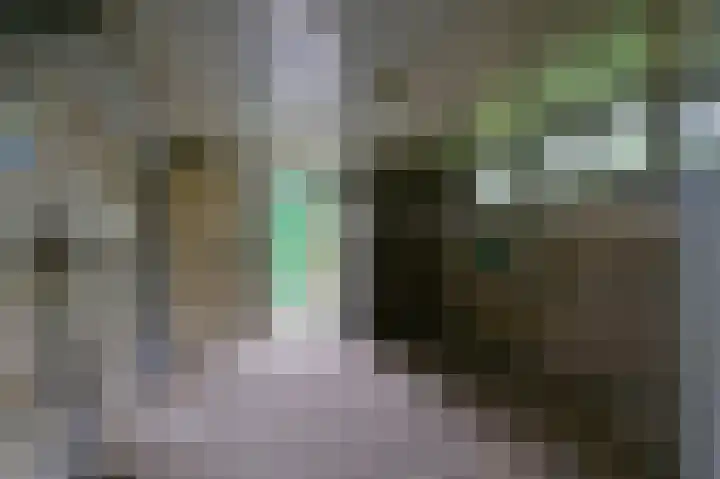 Nieuwe Bussummerweg 1 Huizen thumbnail 12