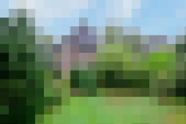 Nieuwe Bussummerweg 1 Huizen thumbnail 30