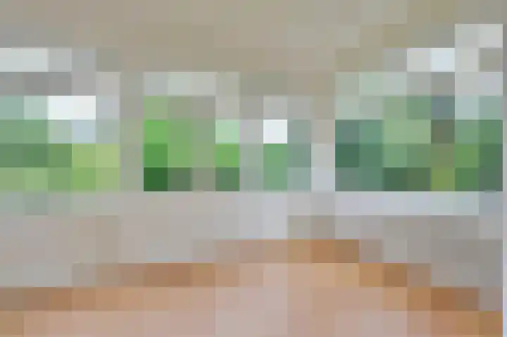 Nieuwe Bussummerweg 1 Huizen thumbnail 6