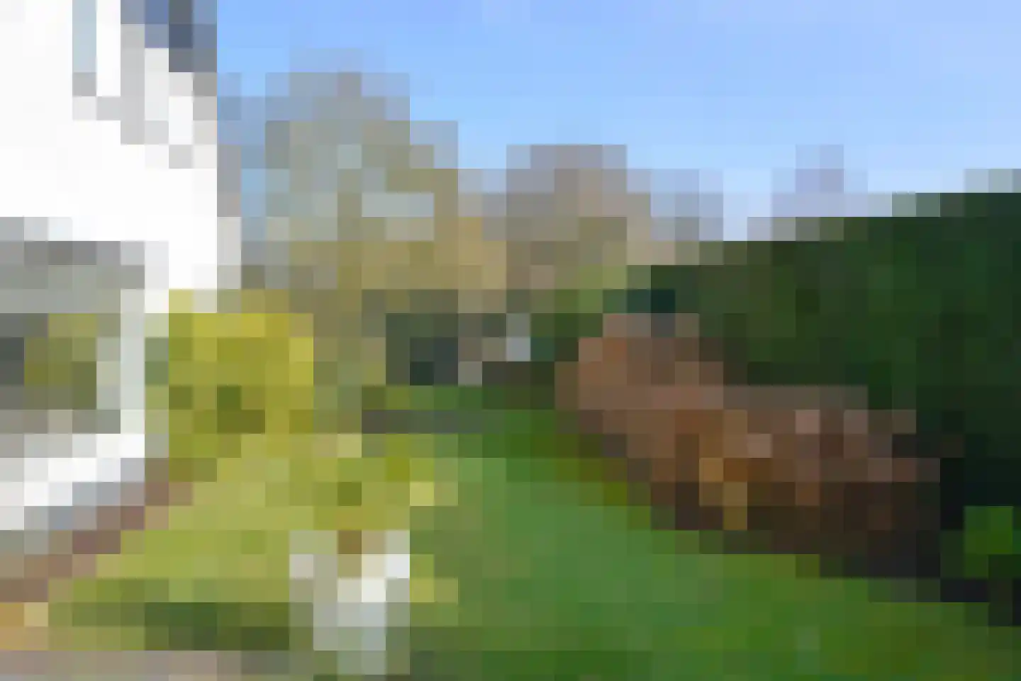 Nieuwe Bussummerweg 104 Huizen thumbnail 10