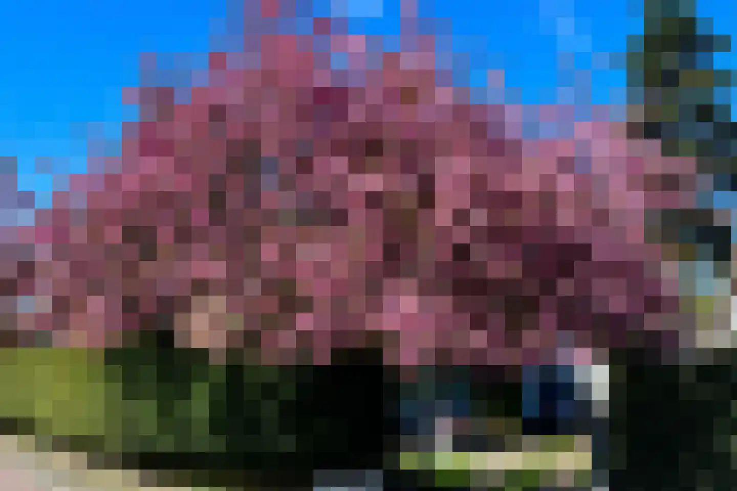 Nieuwe Bussummerweg 104 Huizen thumbnail 10