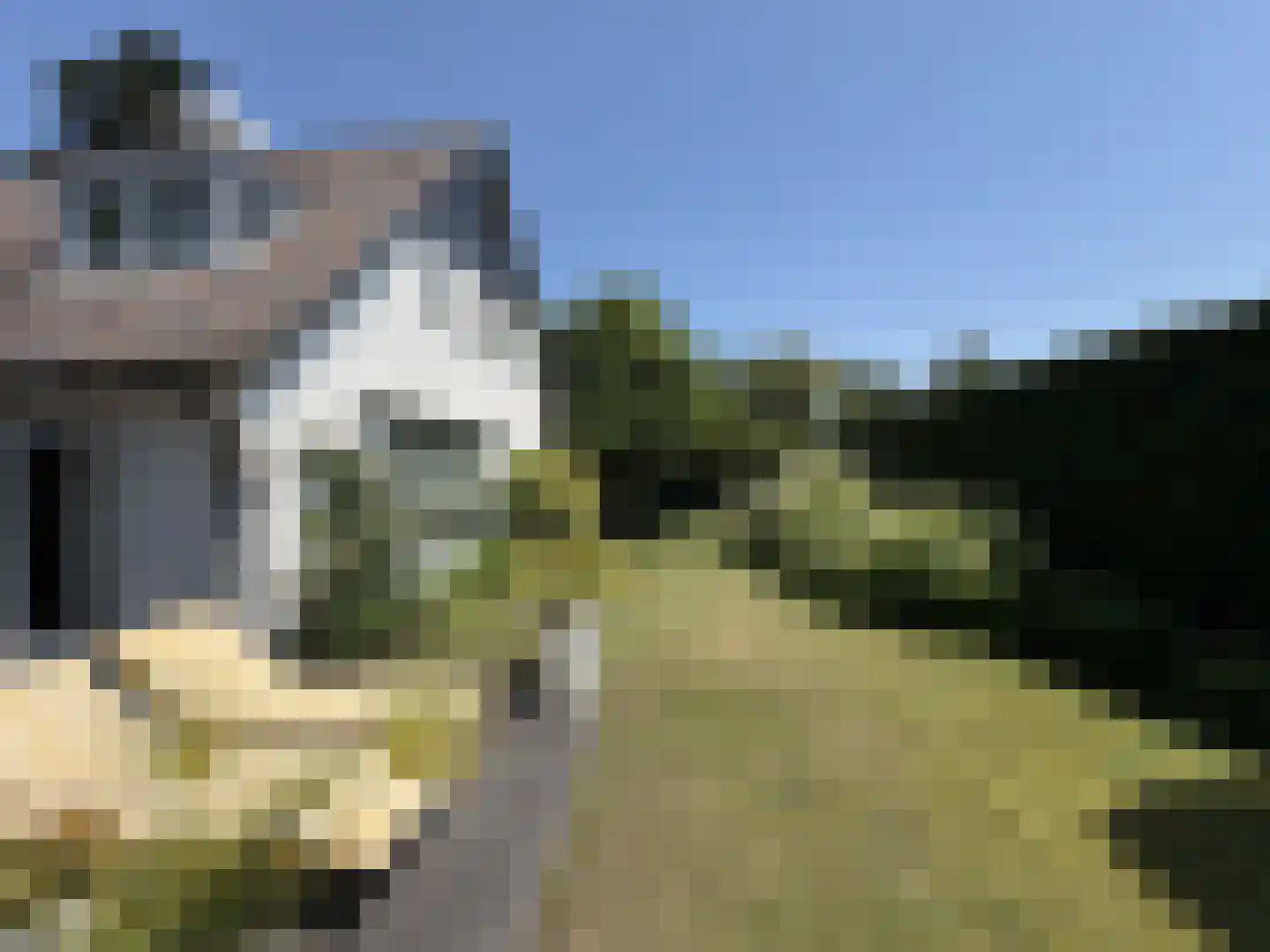 Nieuwe Bussummerweg 104 Huizen thumbnail 11