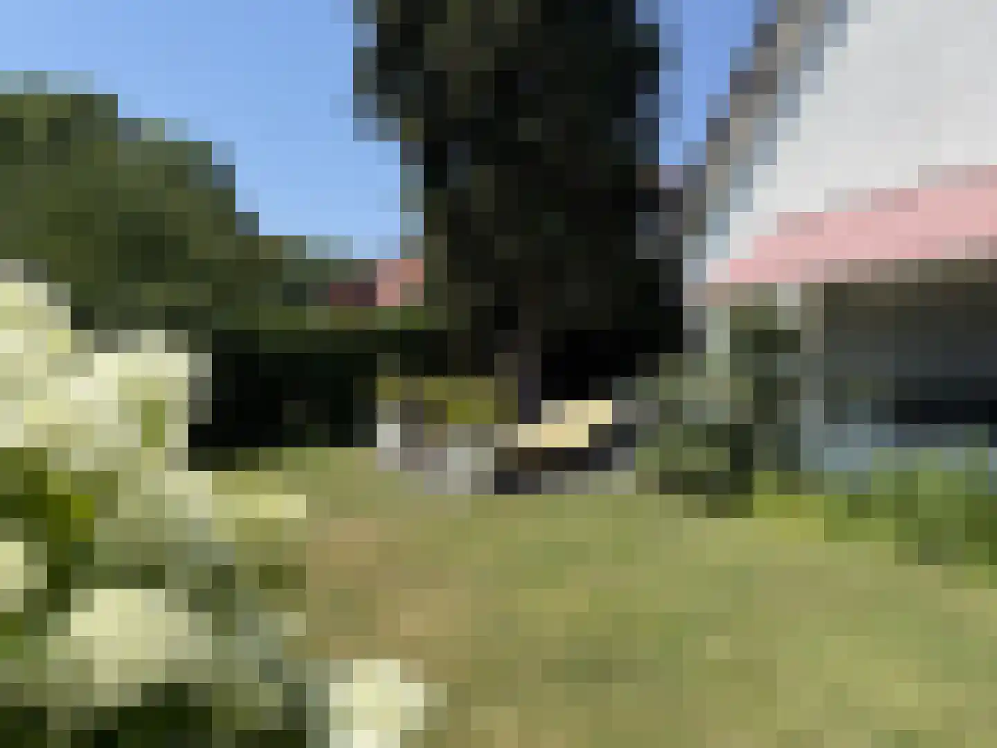 Nieuwe Bussummerweg 104 Huizen thumbnail 12