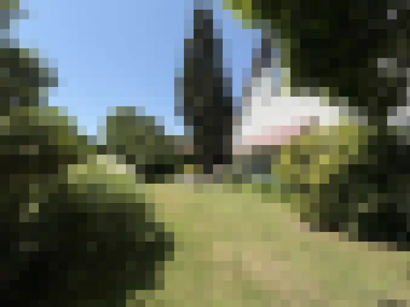 Nieuwe Bussummerweg 104 Huizen thumbnail 12
