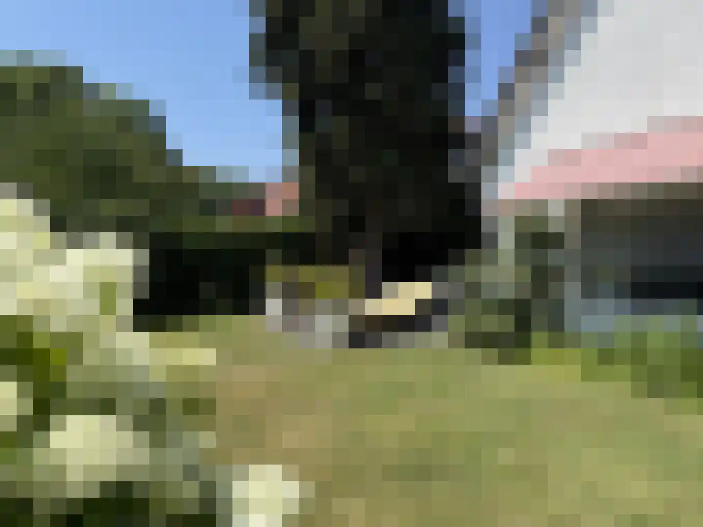 Nieuwe Bussummerweg 104 Huizen thumbnail 12