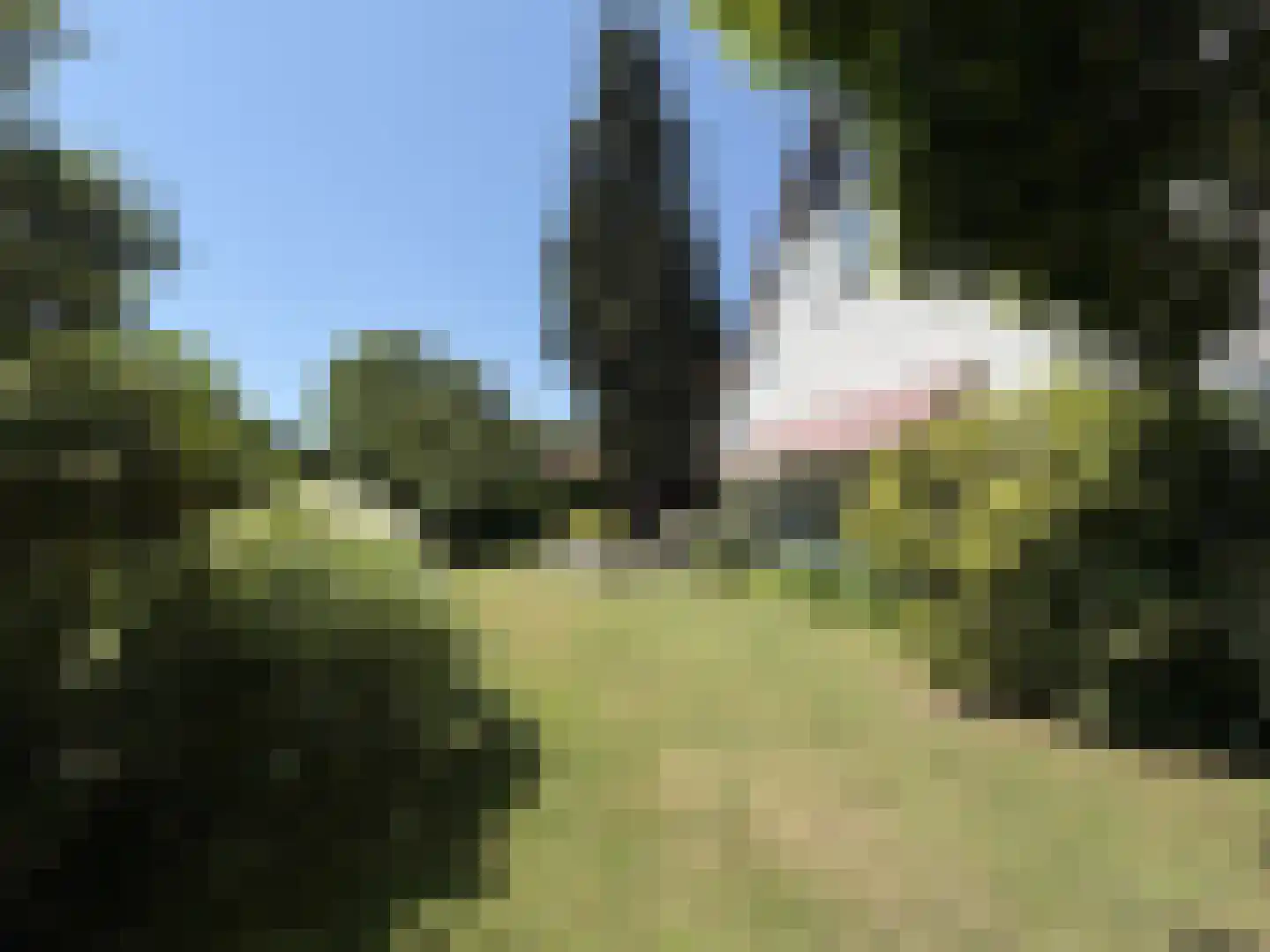 Nieuwe Bussummerweg 104 Huizen thumbnail 13