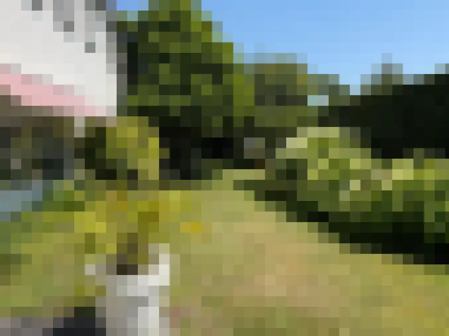 Nieuwe Bussummerweg 104 Huizen thumbnail 14