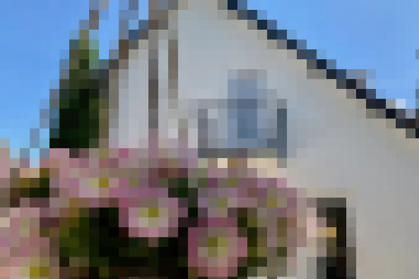 Nieuwe Bussummerweg 104 Huizen thumbnail 15