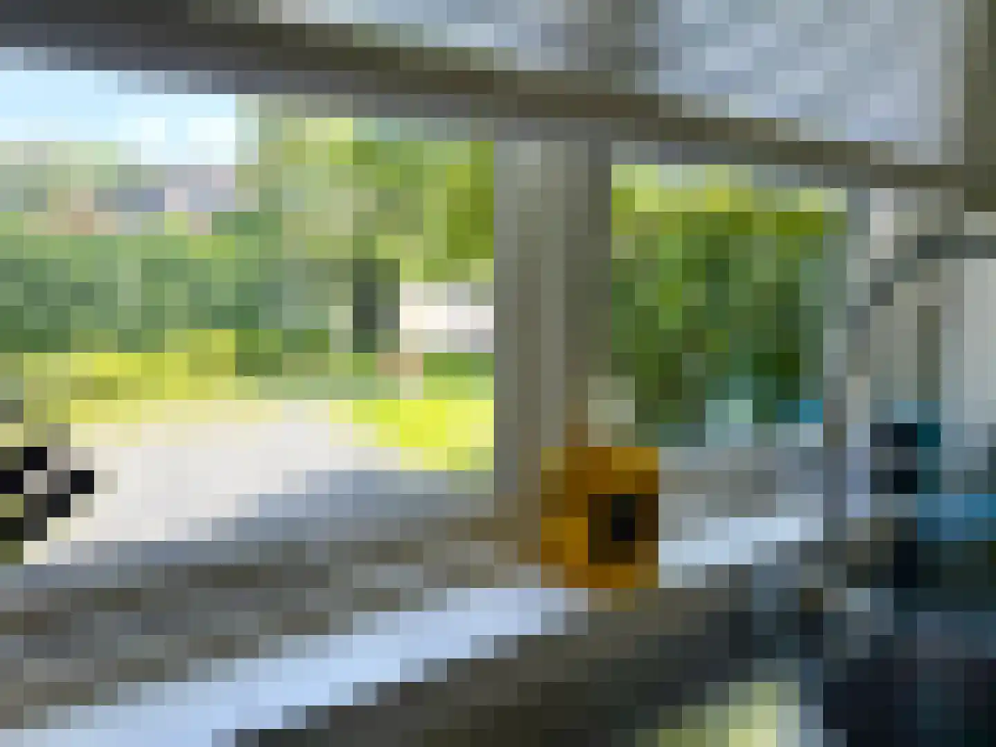 Nieuwe Bussummerweg 104 Huizen thumbnail 27