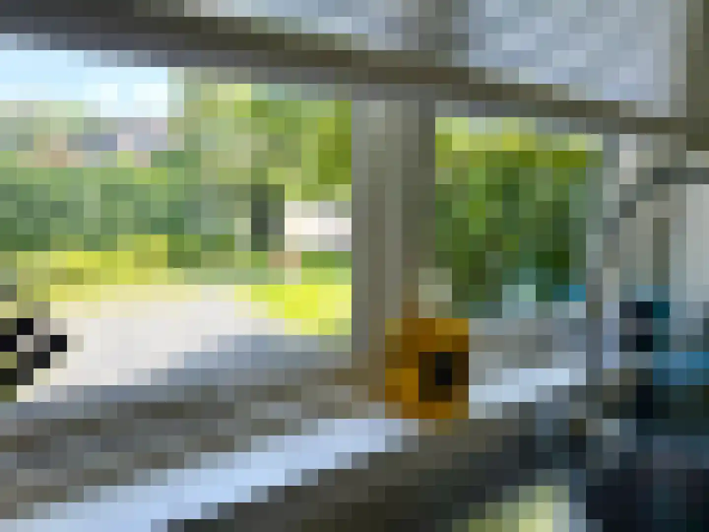 Nieuwe Bussummerweg 104 Huizen thumbnail 28