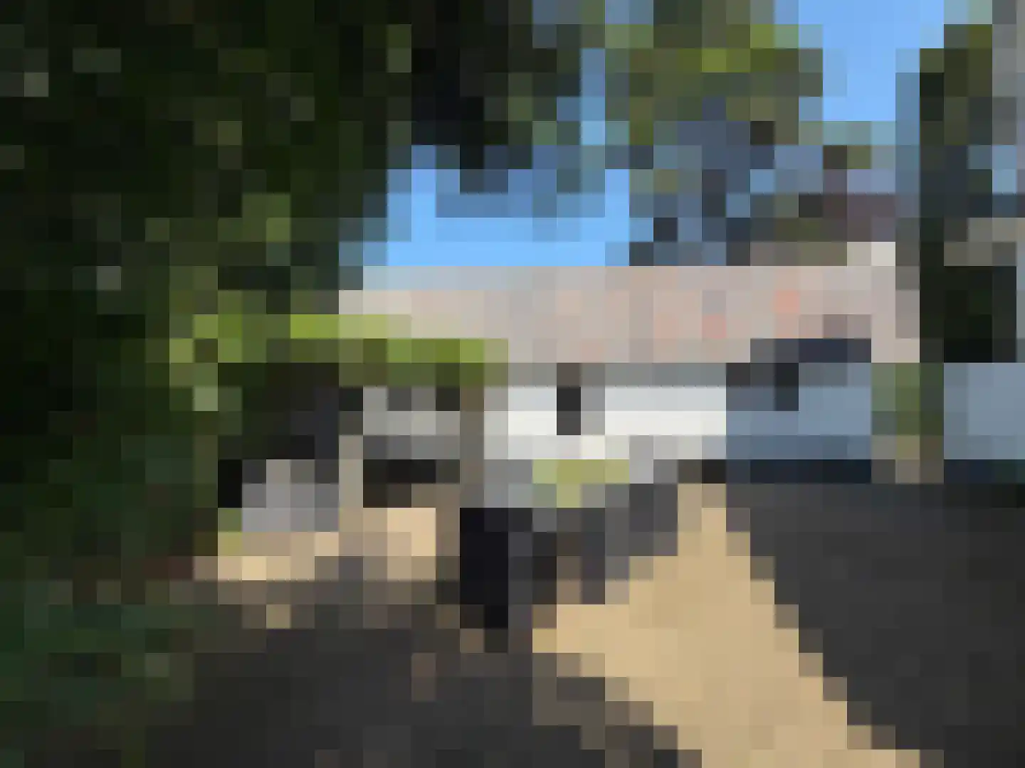 Nieuwe Bussummerweg 104 Huizen thumbnail 4