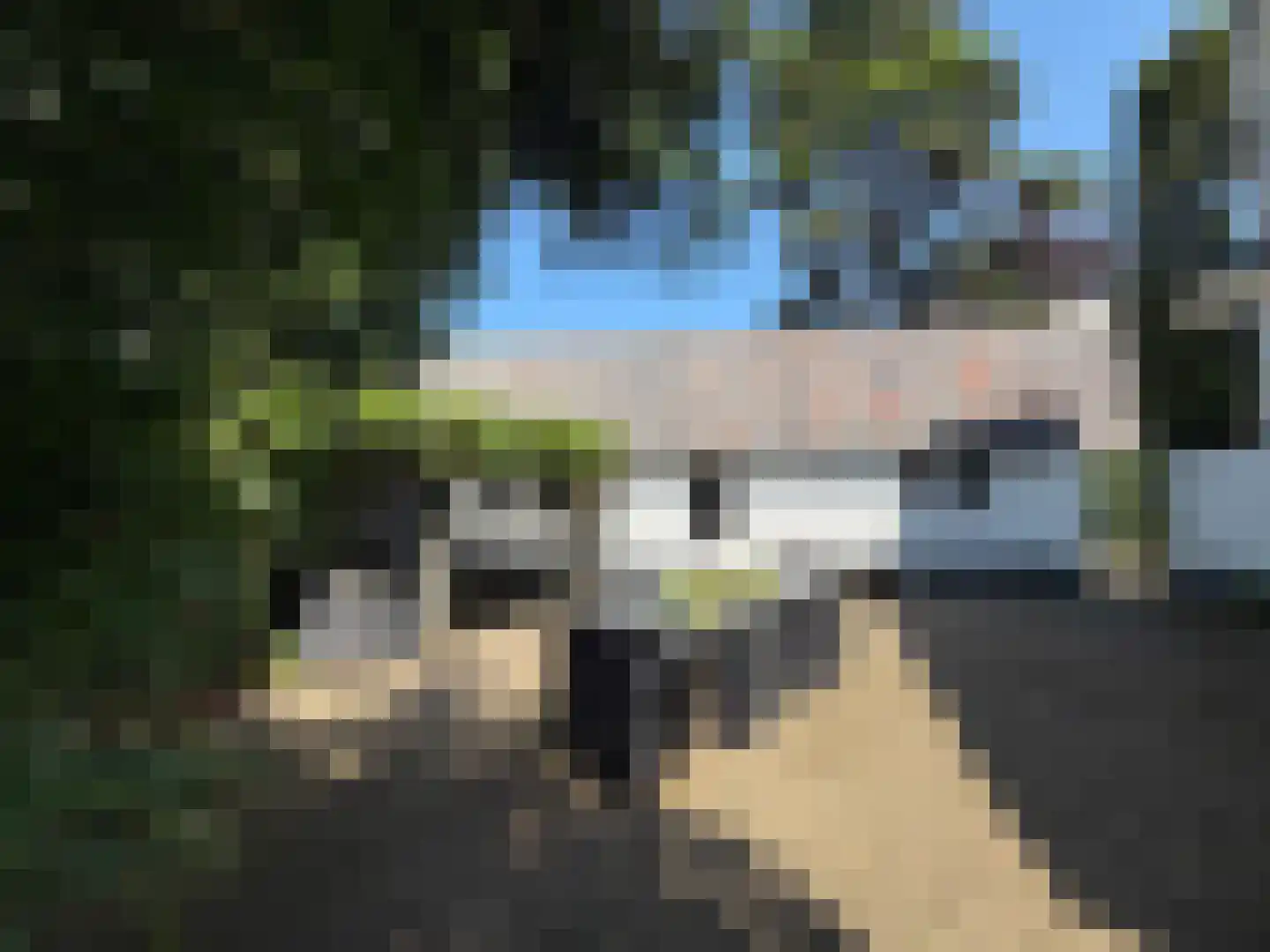 Nieuwe Bussummerweg 104 Huizen thumbnail 5