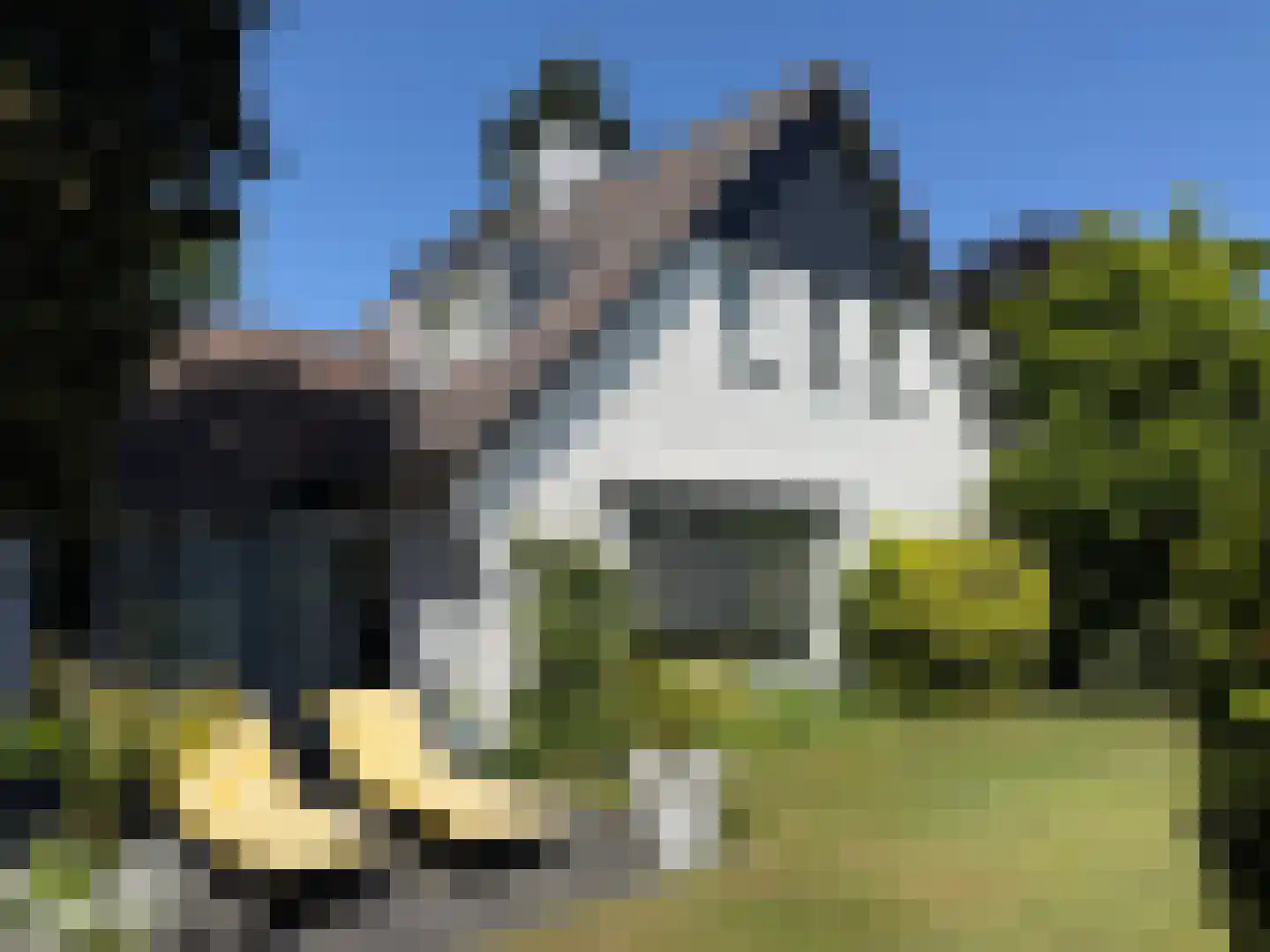 Nieuwe Bussummerweg 104 Huizen thumbnail 6