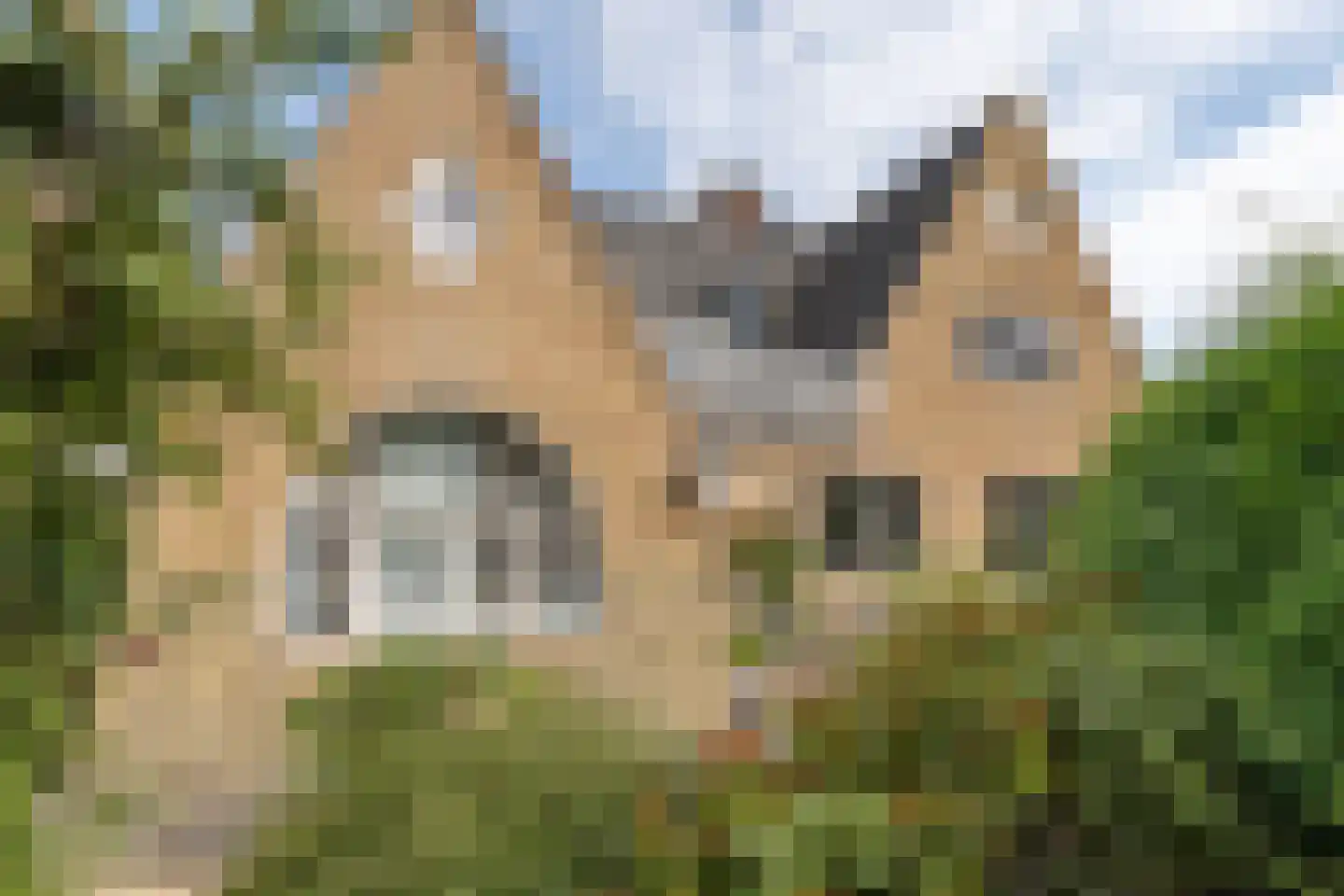 Nieuwe Bussummerweg 105 Huizen thumbnail 44