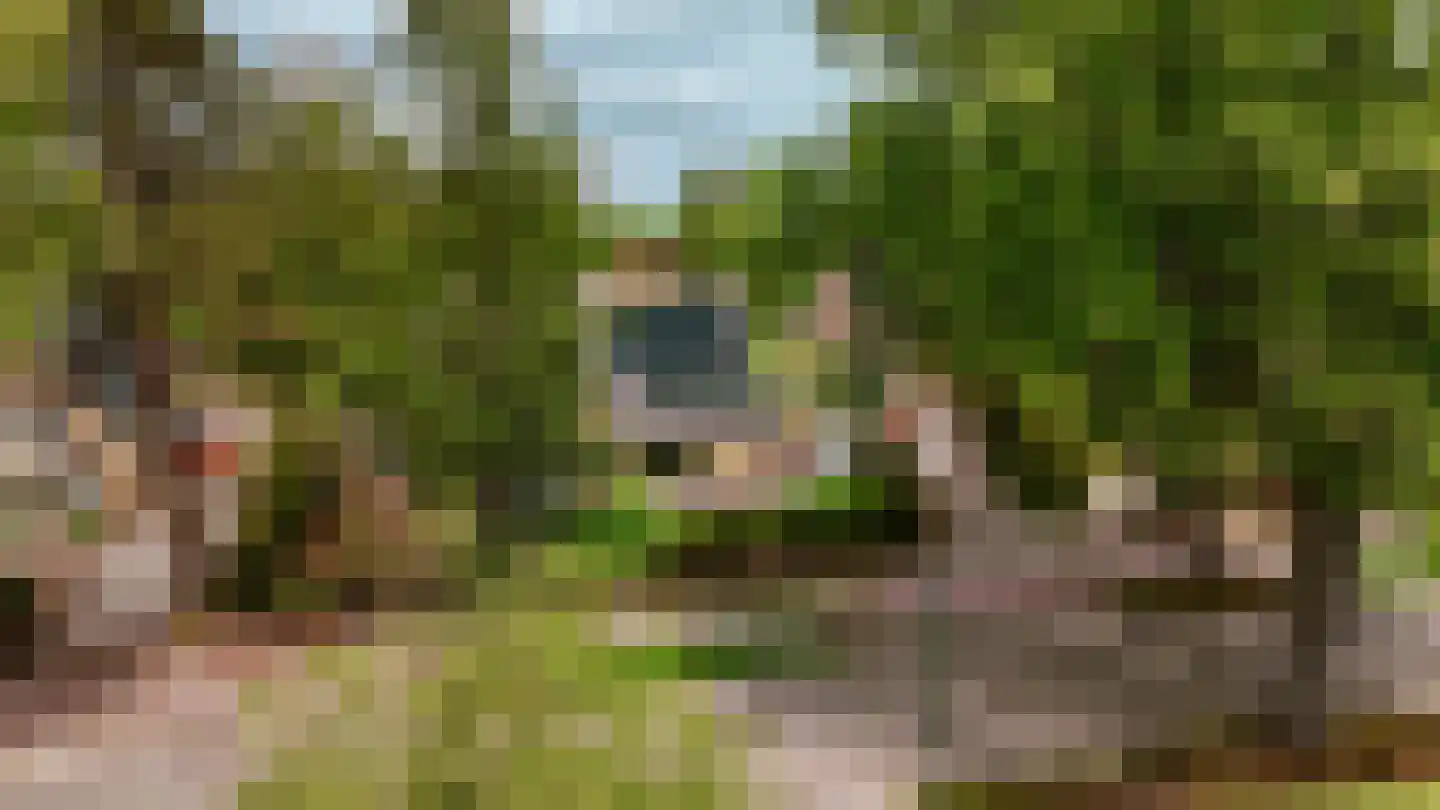 Nieuwe Bussummerweg 126 Huizen thumbnail 49
