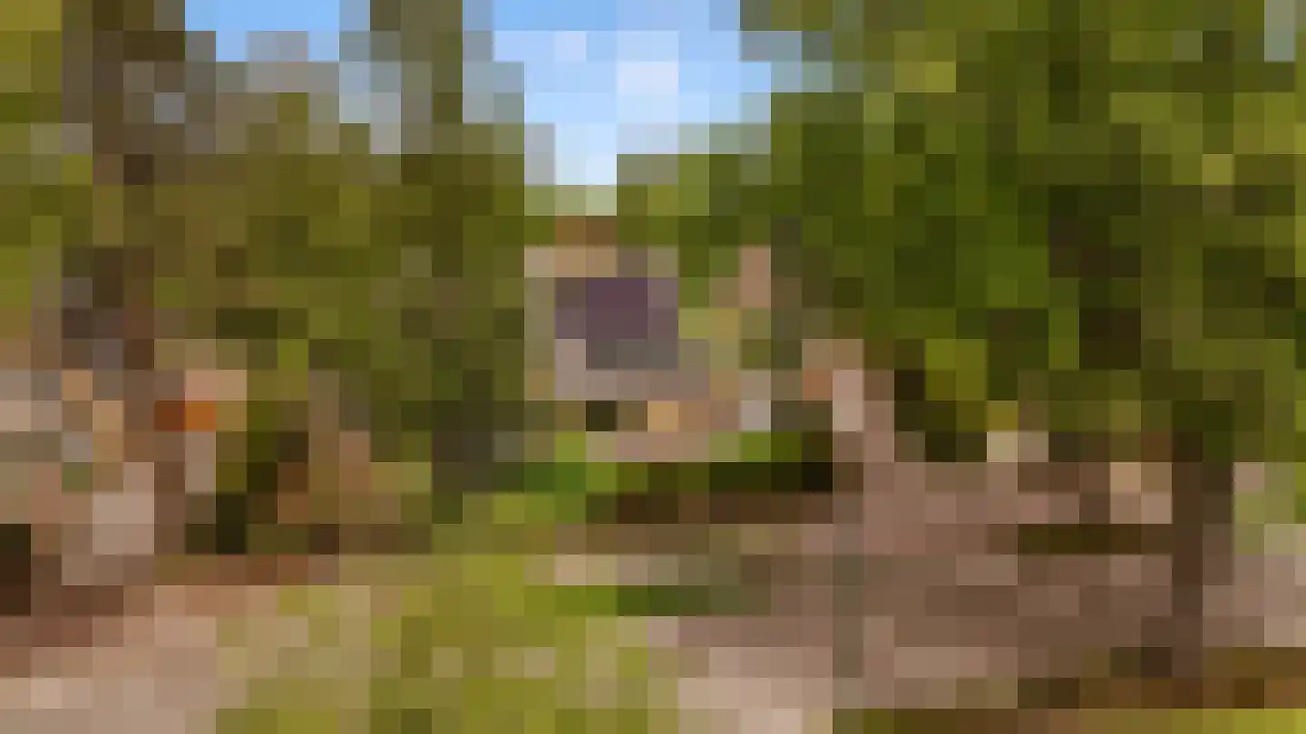 Nieuwe Bussummerweg 126 Huizen thumbnail 53