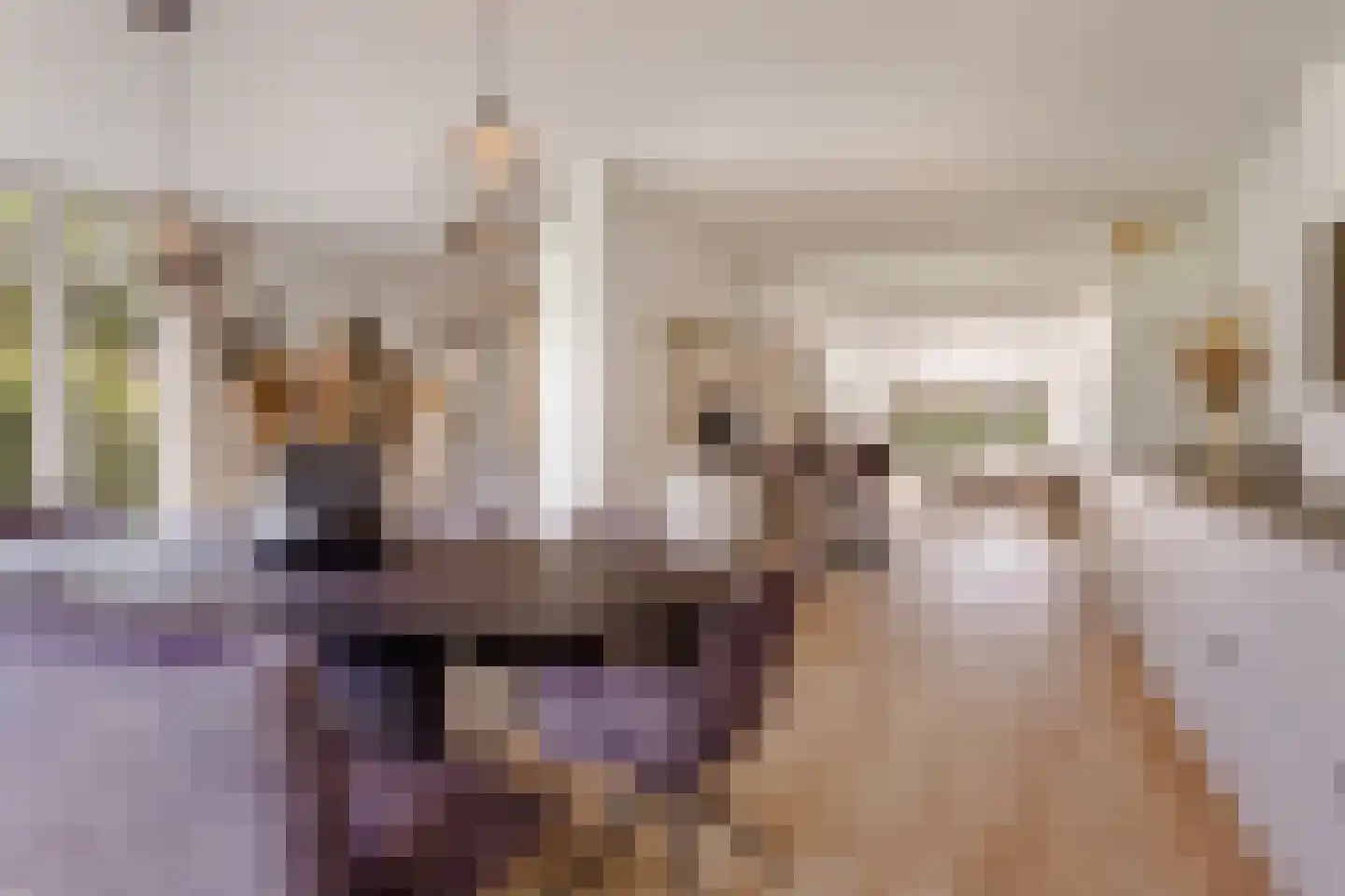 Nieuwe Bussummerweg 126 Huizen thumbnail 9