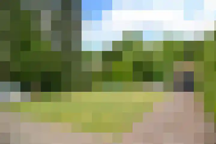 Nieuwe Bussummerweg 130 Huizen thumbnail 23