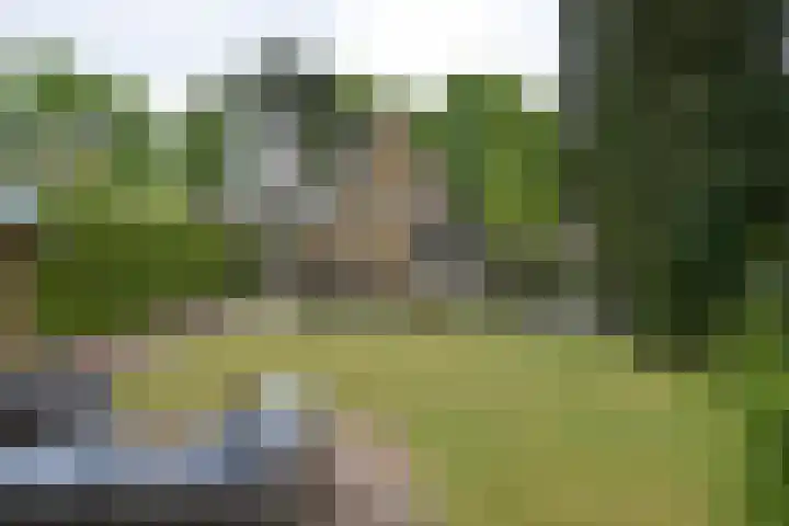 Nieuwe Bussummerweg 130 Huizen thumbnail 25