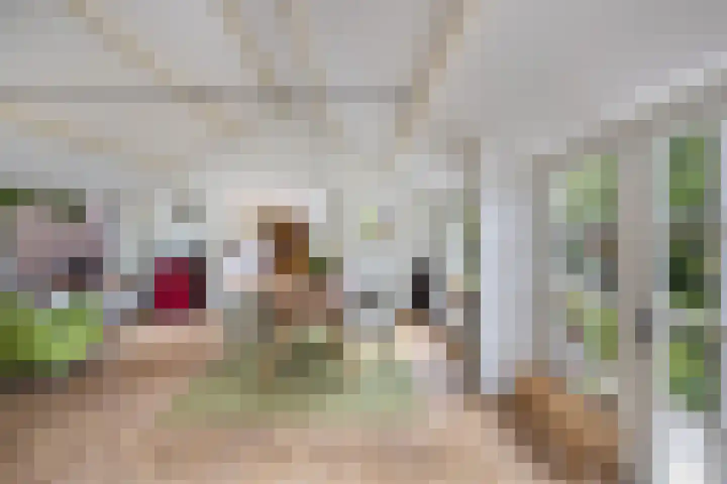 Nieuwe Bussummerweg 15 Huizen thumbnail 15