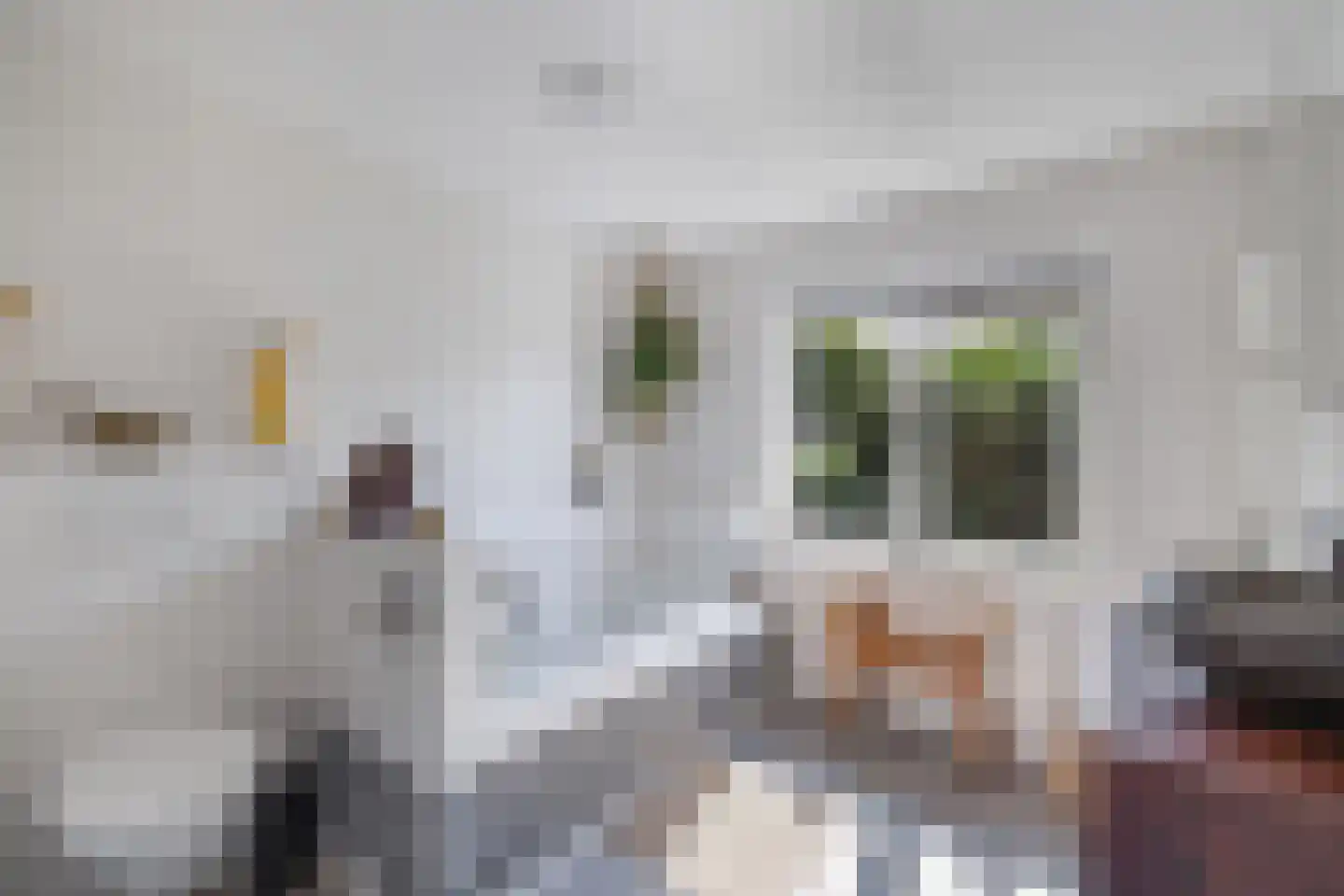 Nieuwe Bussummerweg 15 Huizen thumbnail 22