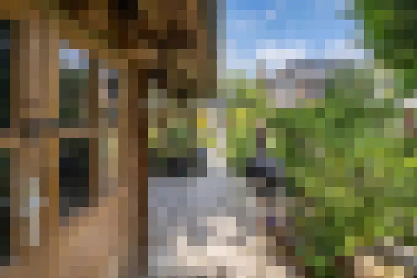 Nieuwe Bussummerweg 15 Huizen thumbnail 39