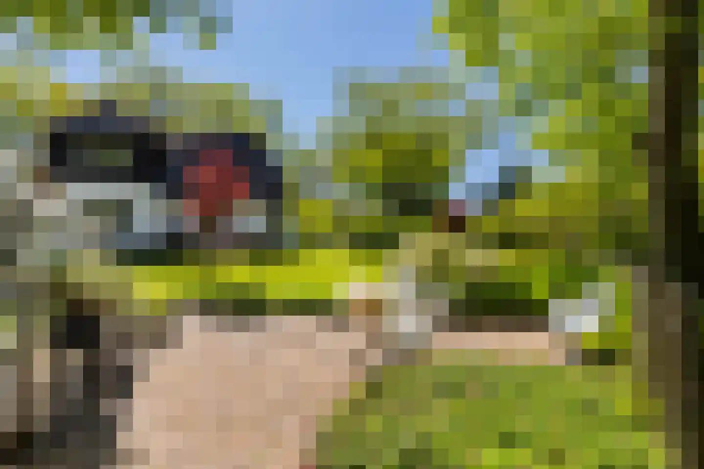 Nieuwe Bussummerweg 184 Huizen thumbnail 26
