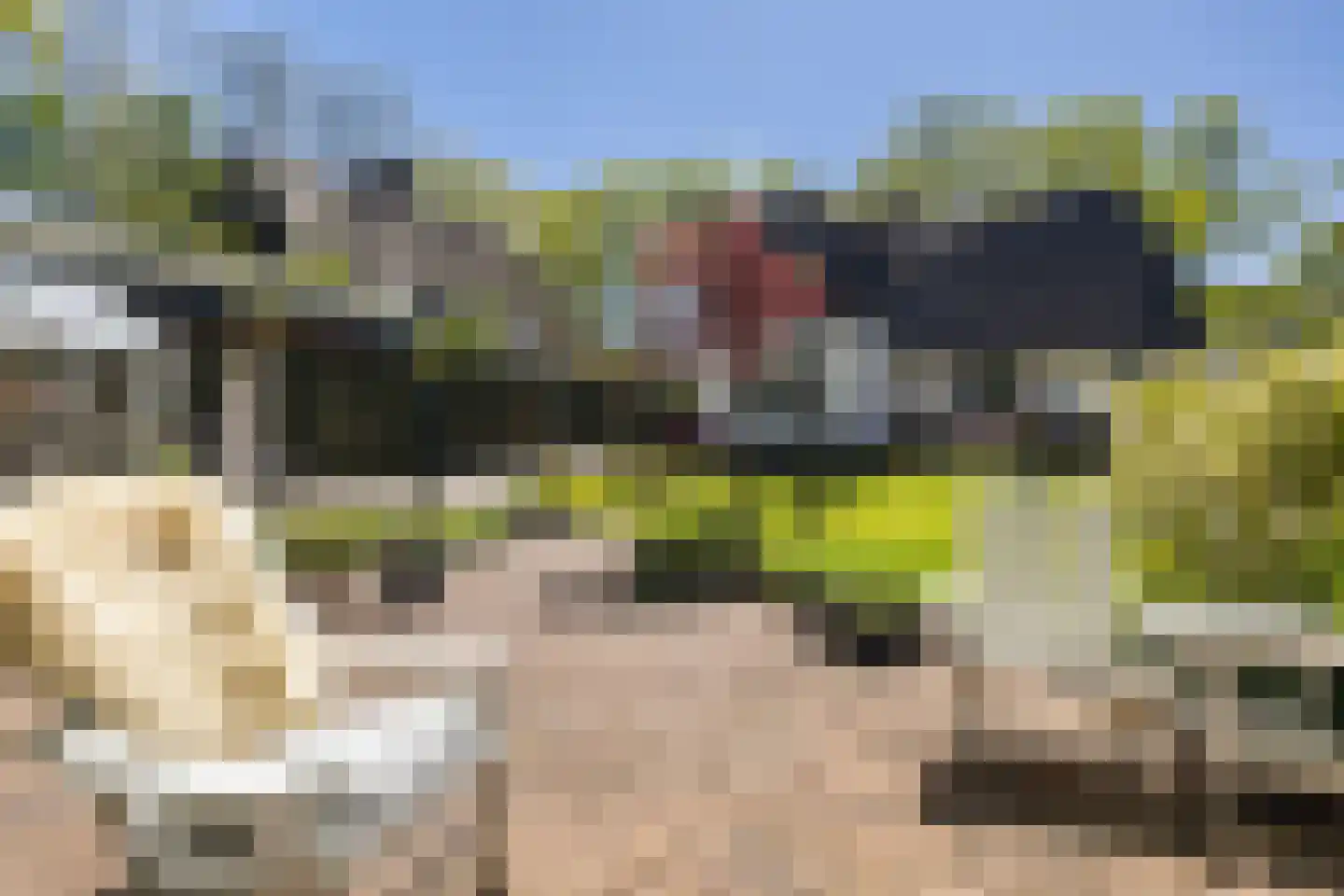 Nieuwe Bussummerweg 184 Huizen thumbnail 28
