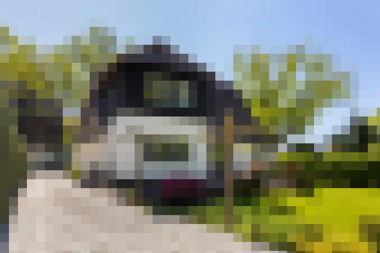 Nieuwe Bussummerweg 184 Huizen thumbnail 29