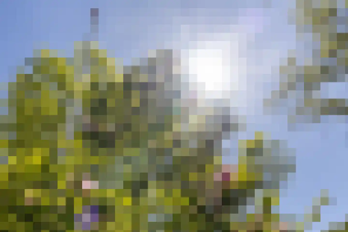 Nieuwe Bussummerweg 184 Huizen thumbnail 36