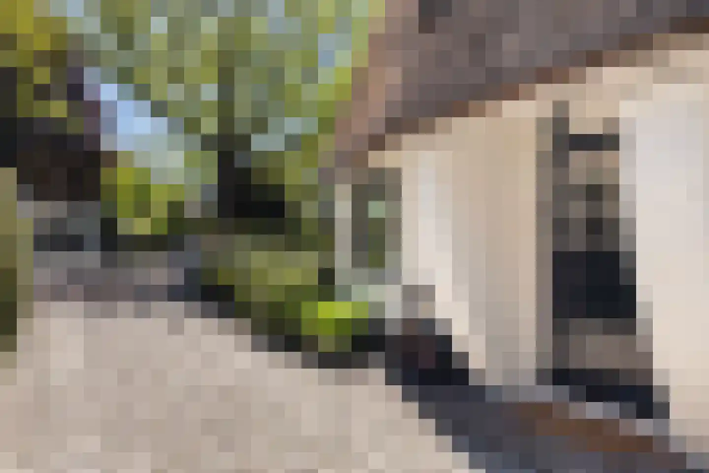 Nieuwe Bussummerweg 184 Huizen thumbnail 5