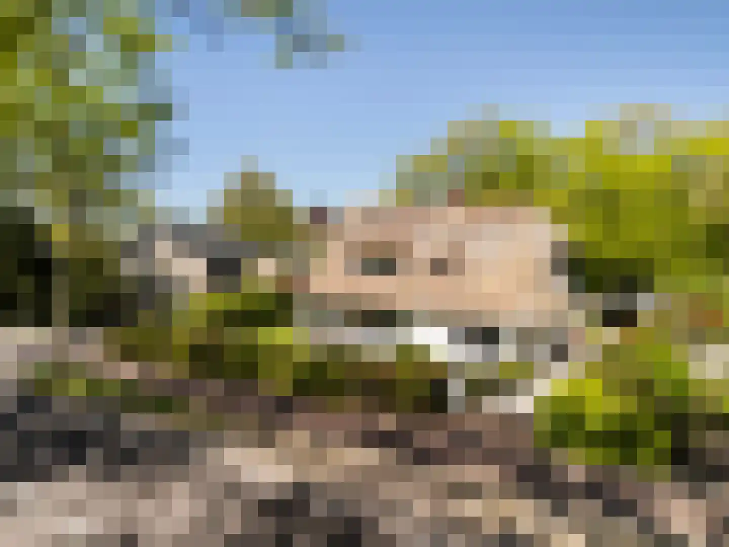 Nieuwe Bussummerweg 184 Huizen thumbnail 54