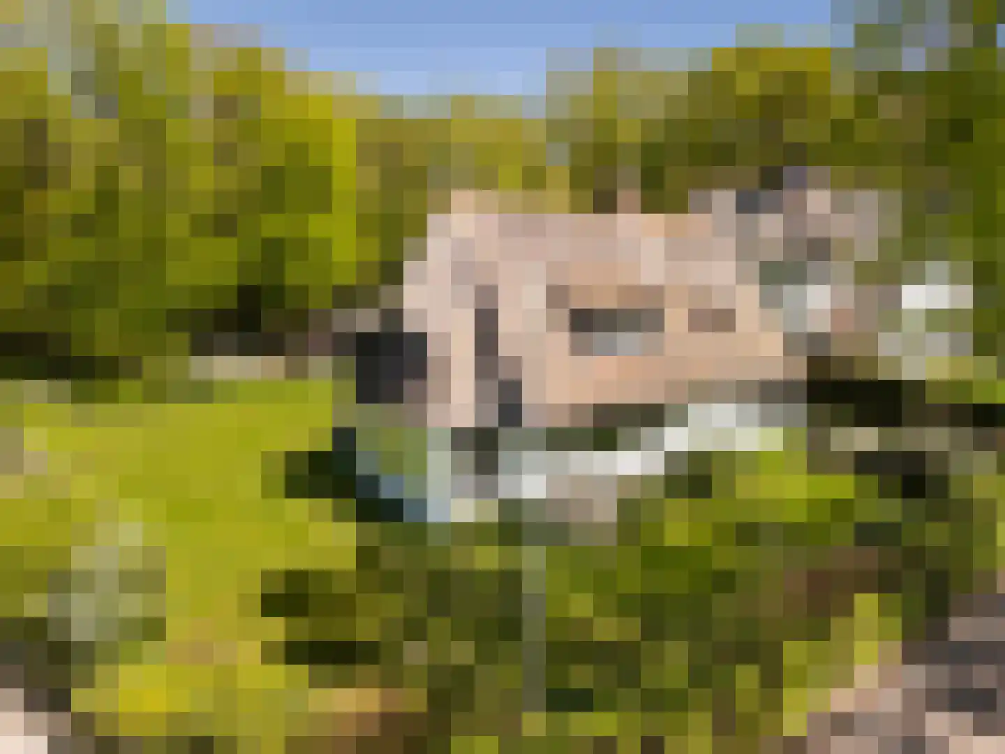 Nieuwe Bussummerweg 184 Huizen thumbnail 55