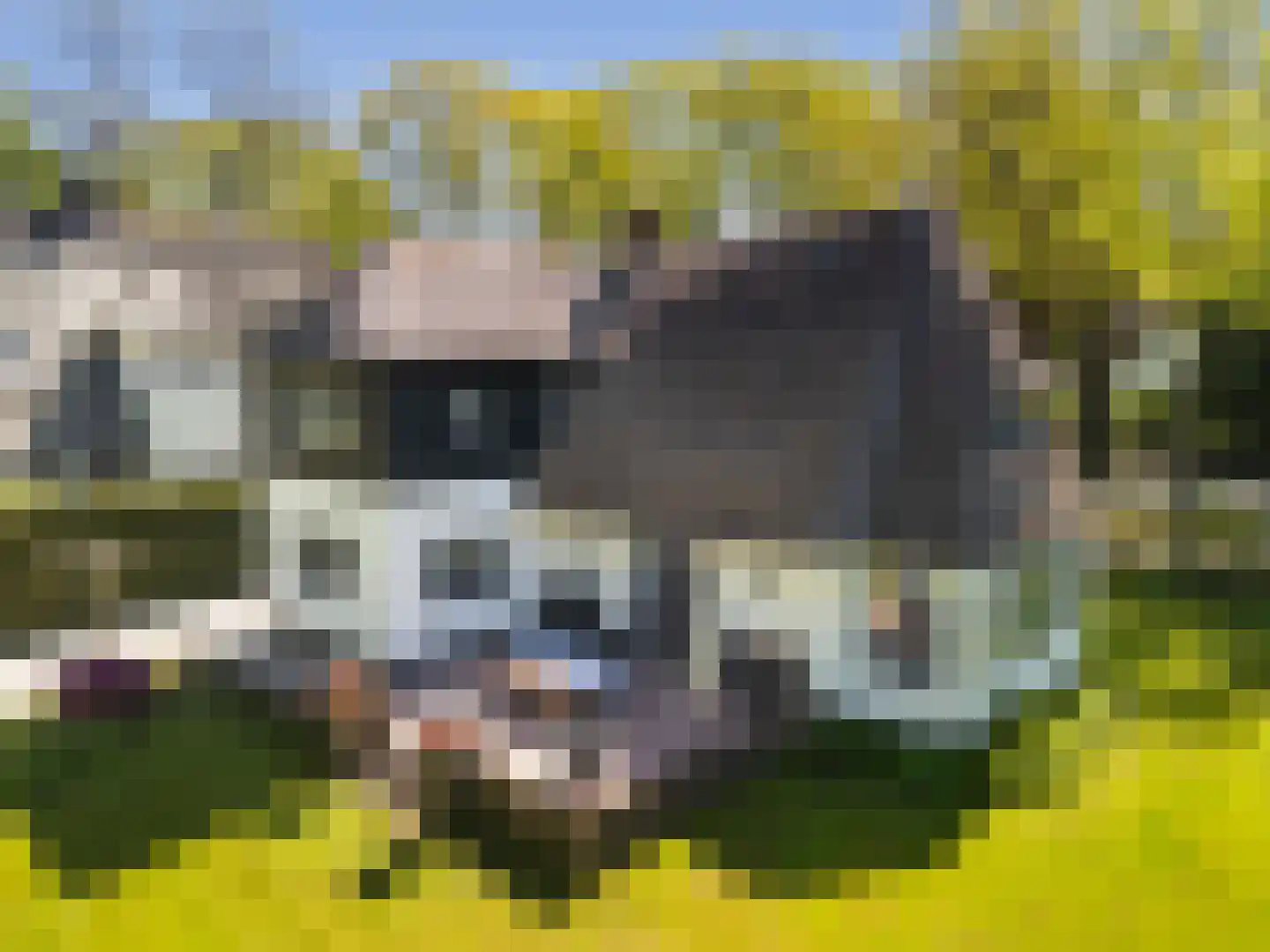 Nieuwe Bussummerweg 184 Huizen thumbnail 56