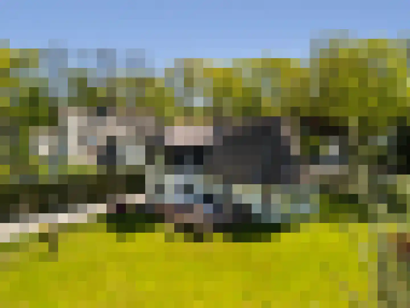 Nieuwe Bussummerweg 184 Huizen thumbnail 59