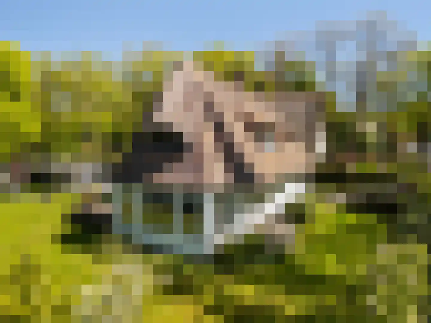 Nieuwe Bussummerweg 184 Huizen thumbnail 60