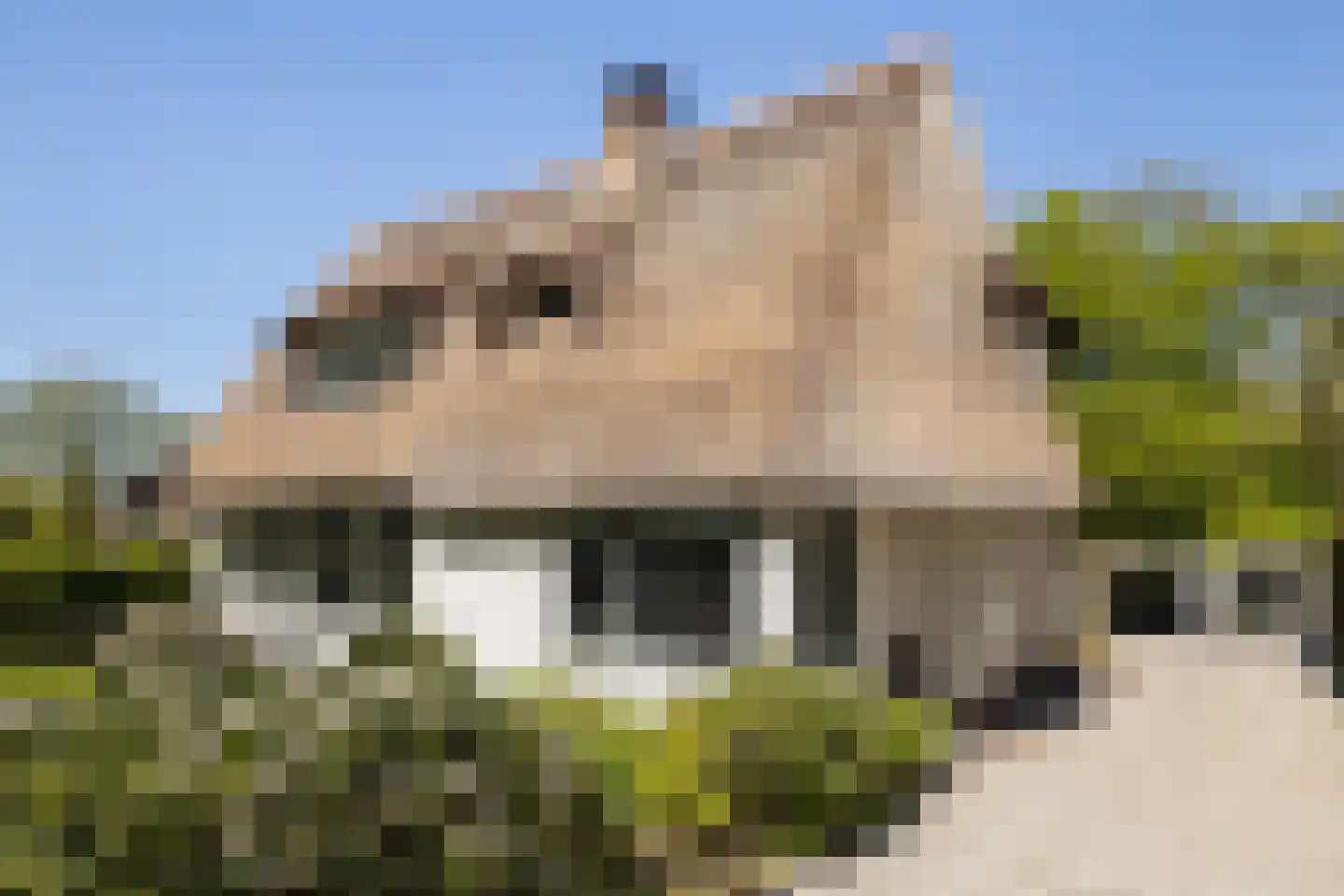 Nieuwe Bussummerweg 184 Huizen thumbnail 66