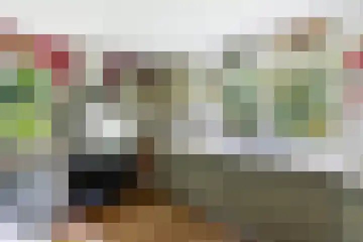 Nieuwe Bussummerweg 246 Huizen thumbnail 16
