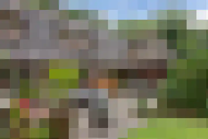 Nieuwe Bussummerweg 246 Huizen thumbnail 43